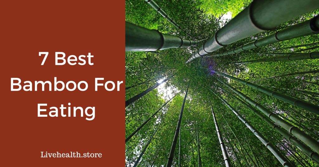 7 Best Bamboo For Eating