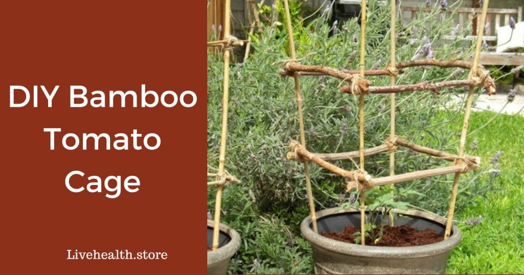 DIY bamboo tomato cage guide