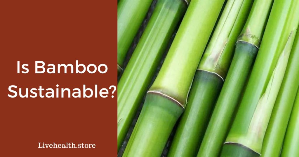 Is Bamboo Sustainable