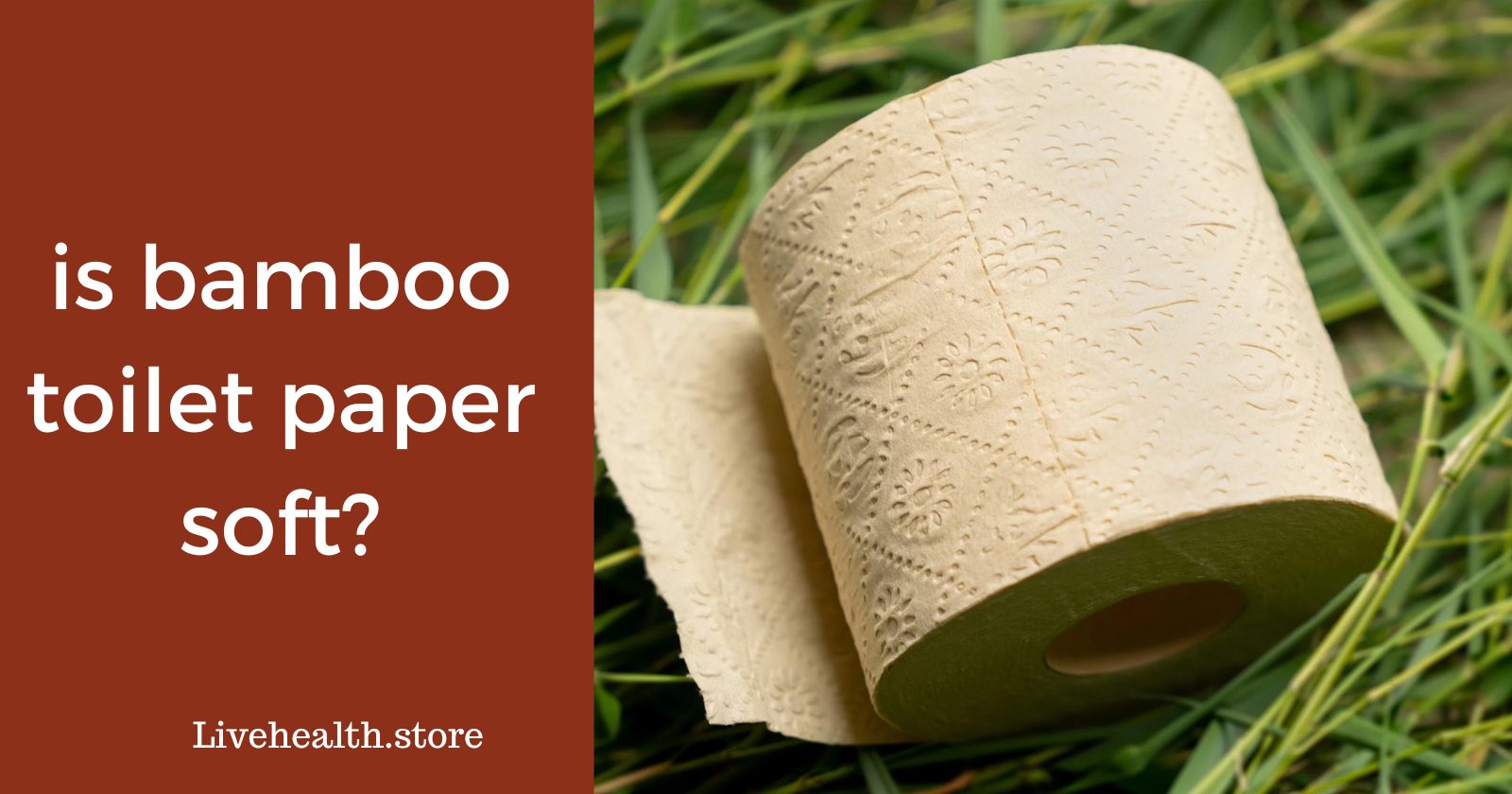 Softness and Skin Is Bamboo Toilet Paper the Best Choice?