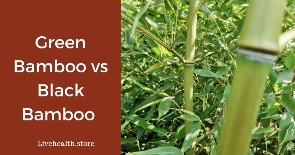 Green bamboo vs Black bamboo