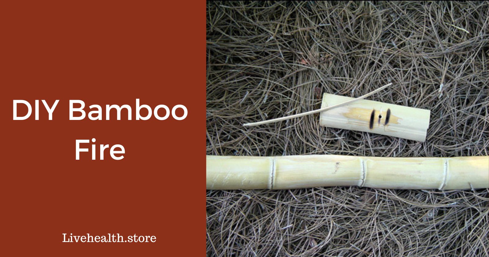 Starting a Fire with Bamboo StepByStep Live Health