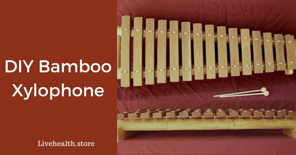 Make a Bamboo Xylophone Yourself: Fun & Simple Tutorial